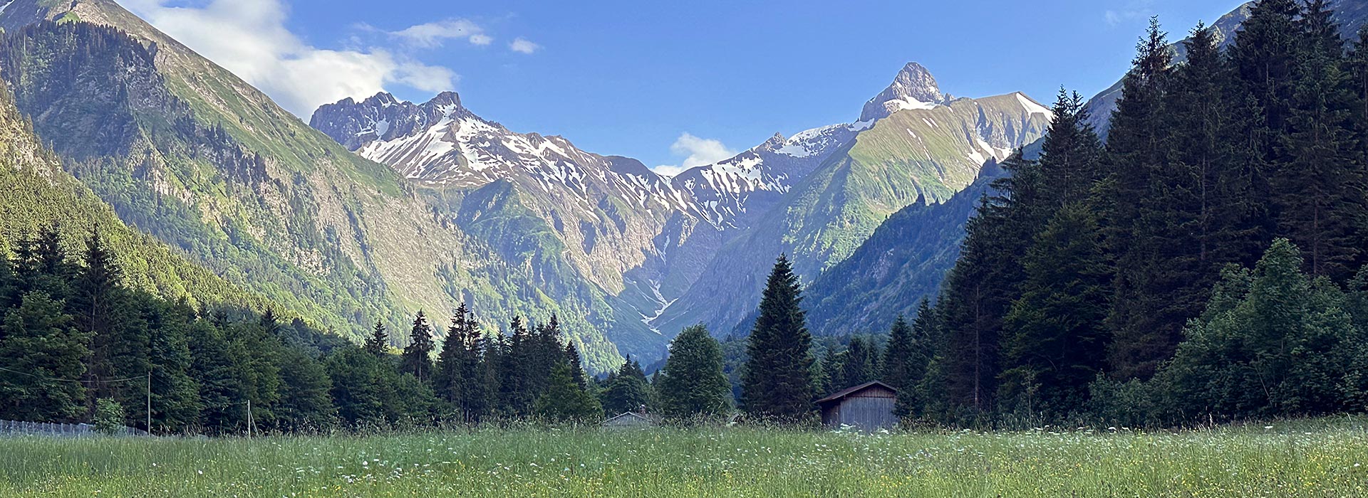 Die Trettachspitze