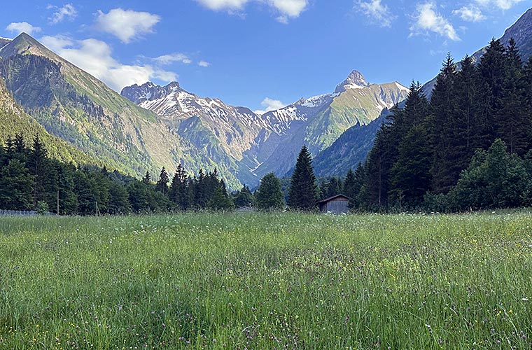 Die Trettachspitze