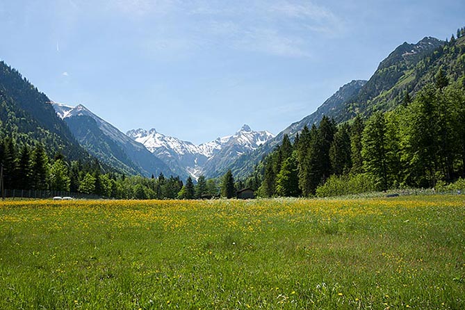 Blog elements Oberstdorf