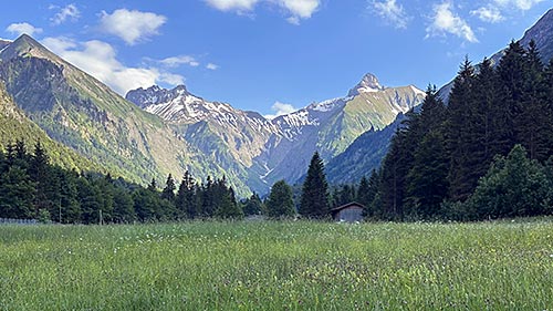 Die Trettachspitze