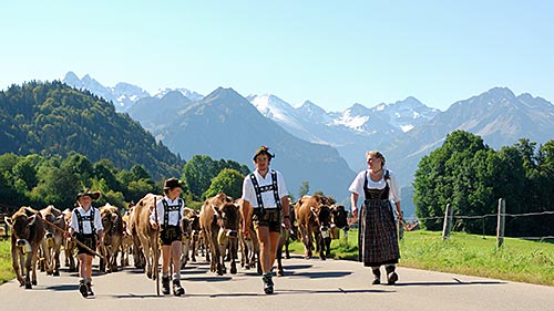 Viehscheid Oberstdorf